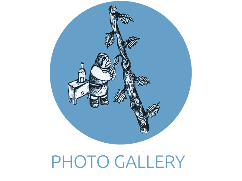 Crama Oprisor - Photo Gallery